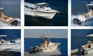 Unlimited Photos and Videos